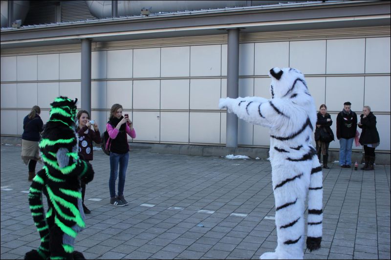 [LBM_2013_Fachsenbude (94).JPG]