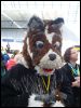 [LBM 2013 Grünfuchs (9)]