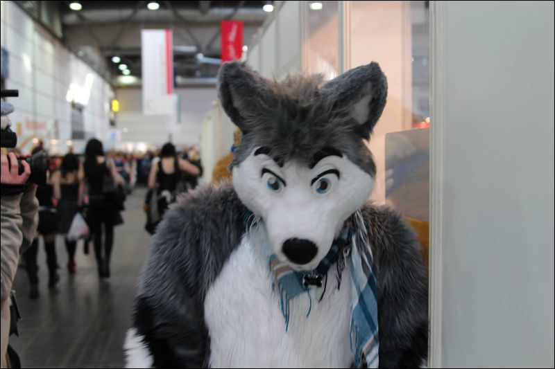 [LBM_2013_T0mc4T (34).JPG]