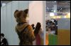 [LBM 2013 T0mc4T (35)]