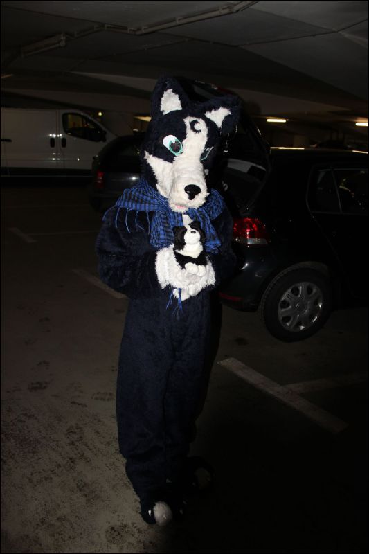 [Fachsenbude_1634.jpg]