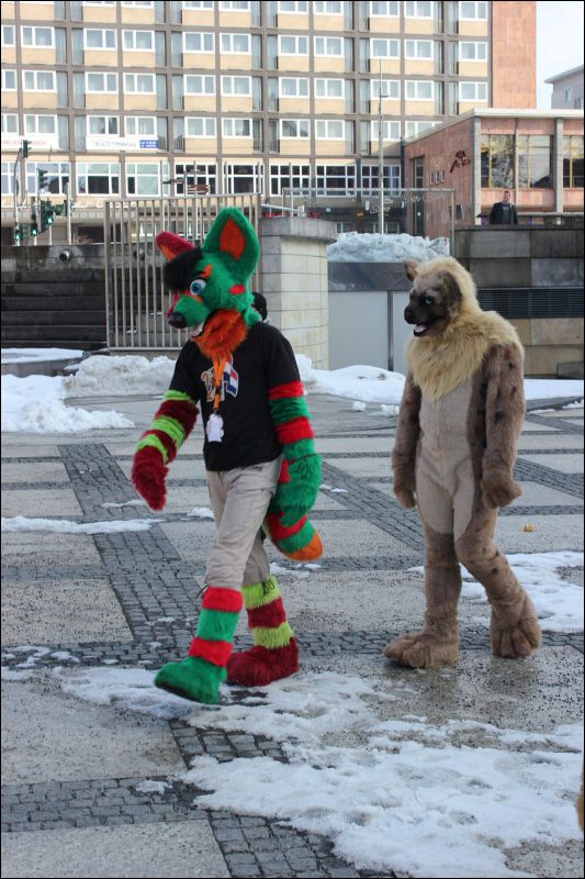 [Fachsenbude_1642.jpg]