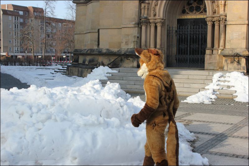 [Fachsenbude_1654.jpg]