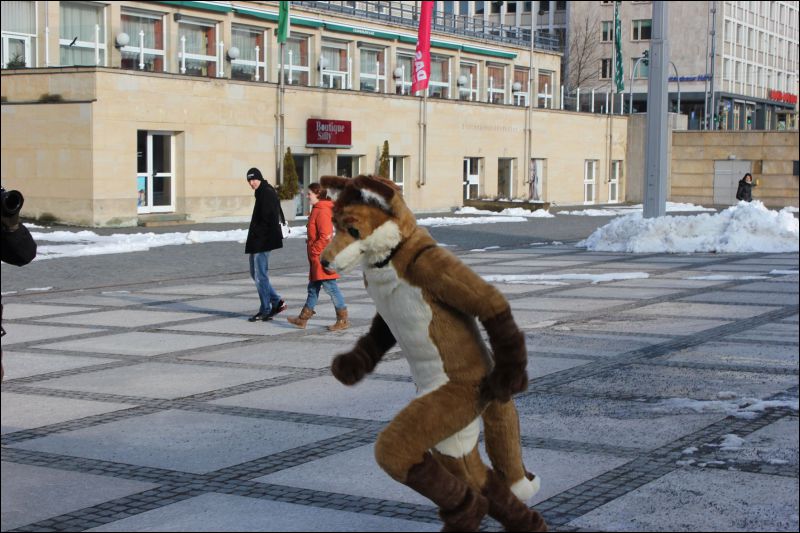 [Fachsenbude_1656.jpg]