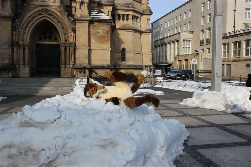 [Fachsenbude_1658.jpg]