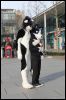 [Dresden Furmeet 23032013 Andy (72)]