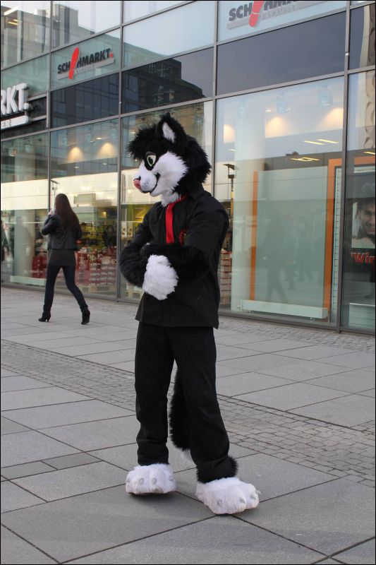 [Dresden_Furmeet_23032013_Andy (74).JPG]