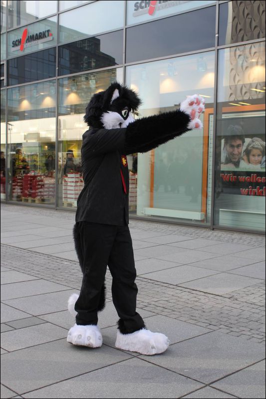 [Dresden_Furmeet_23032013_Andy (75).JPG]