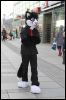 [Dresden Furmeet 23032013 Andy (76)]