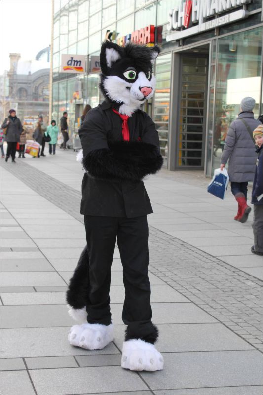 [Dresden_Furmeet_23032013_Andy (76).JPG]