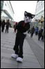 [Dresden Furmeet 23032013 Andy (77)]