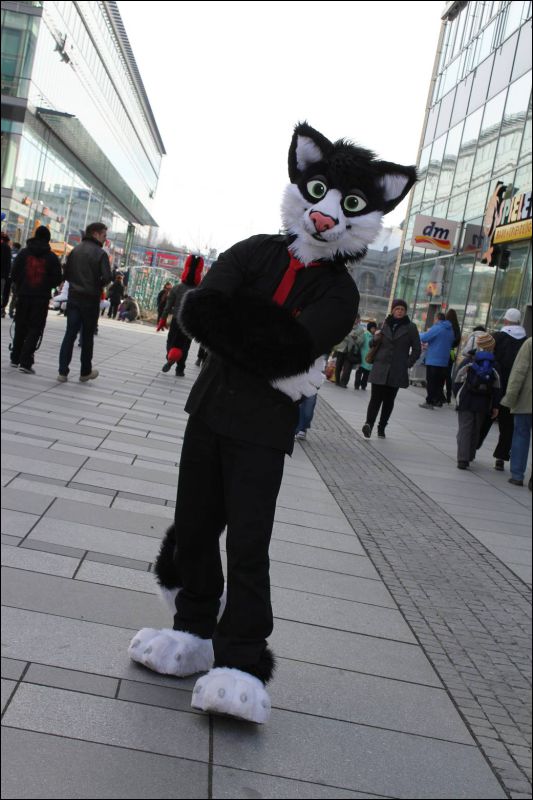 [Dresden_Furmeet_23032013_Andy (77).JPG]