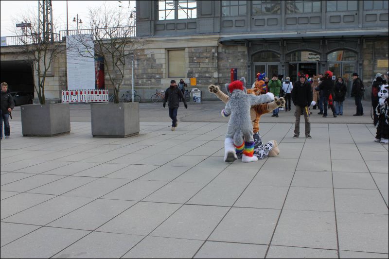 [Dresden_Furmeet_23032013_Andy (84).JPG]