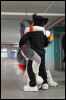 [Dresden Furmeet 23032013 Andy (9)]