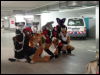 [Dresden Furmeet 23032013 Astoria (4)]
