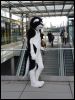 [Dresden Furmeet 23032013 Der-Baal (9)]