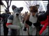 [Dresden Furmeet 23032013 Egnur (12)]