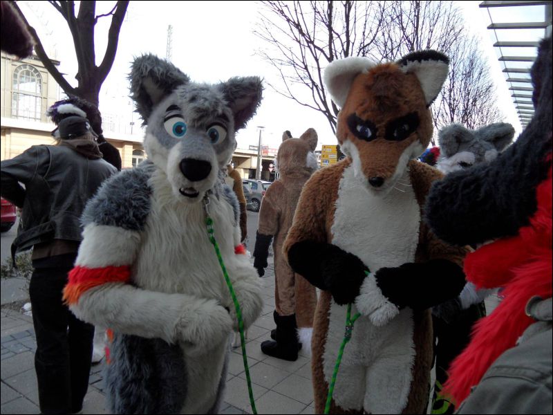 [Dresden_Furmeet_23032013_Egnur (12).JPG]