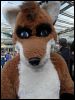 [Dresden Furmeet 23032013 Egnur (17)]