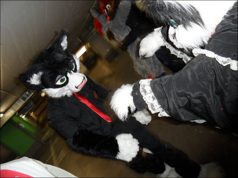 [Dresden_Furmeet_23032013_Egnur (9).JPG]