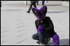 [Dresden Furmeet 23032013 Fynnian (103)]