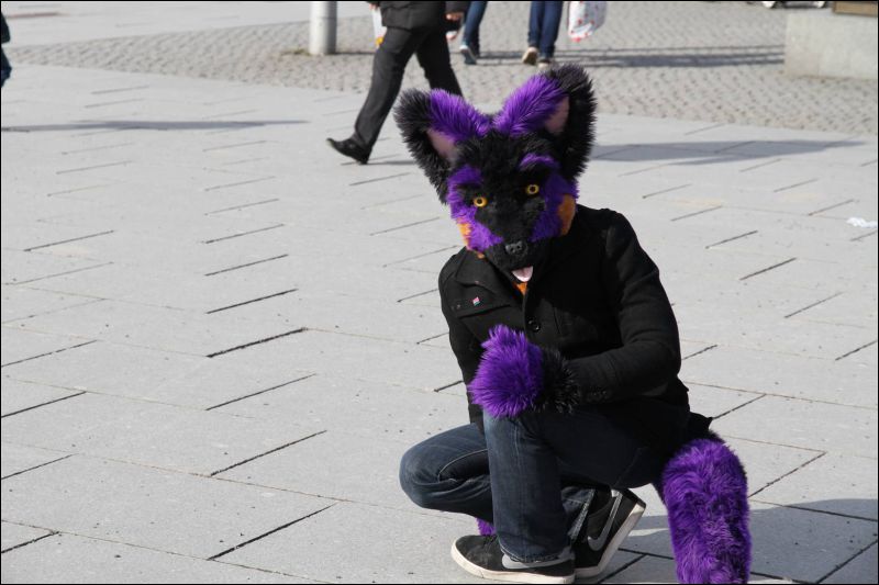 [Dresden_Furmeet_23032013_Fynnian (103).JPG]