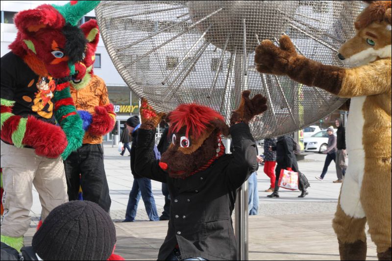 [Dresden_Furmeet_23032013_Fynnian (105).JPG]