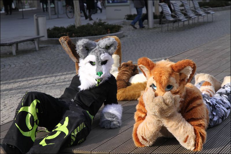 [Dresden_Furmeet_23032013_Fynnian (109).JPG]