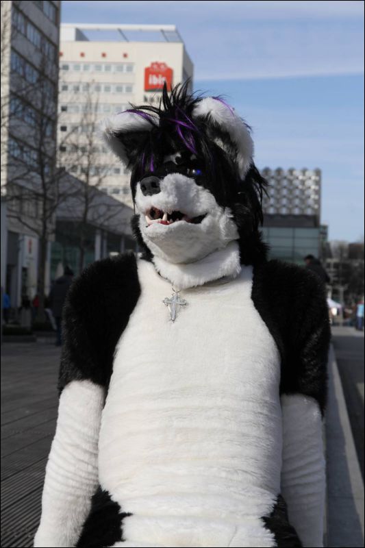 [Dresden_Furmeet_23032013_Fynnian (111).JPG]