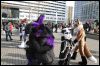 [Dresden Furmeet 23032013 Fynnian (114)]