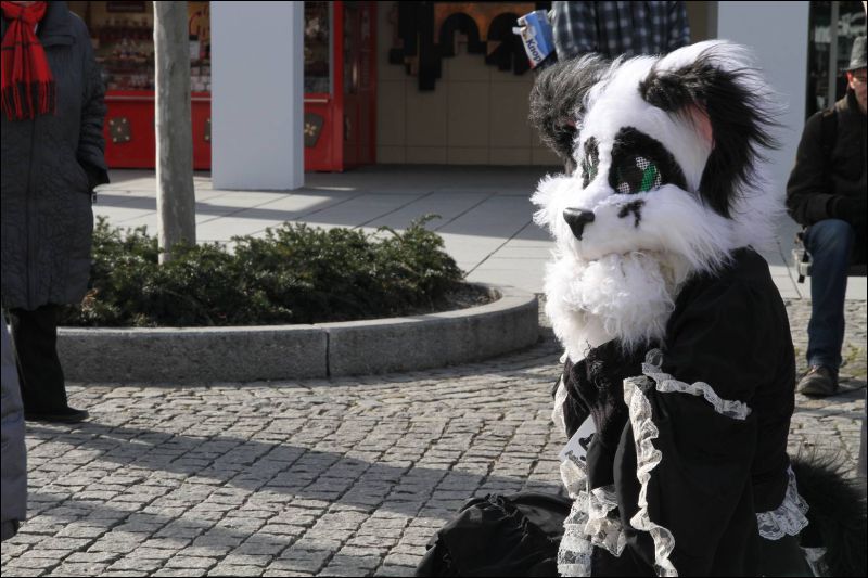 [Dresden_Furmeet_23032013_Fynnian (118).JPG]