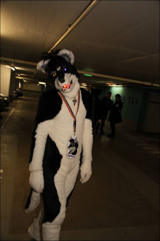 [Dresden_Furmeet_23032013_Fynnian (12).JPG]