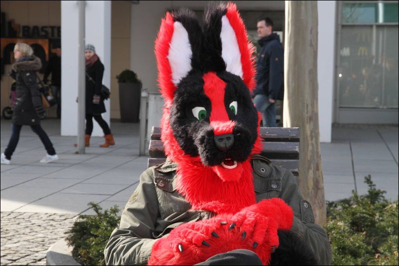 [Dresden_Furmeet_23032013_Fynnian (122).JPG]