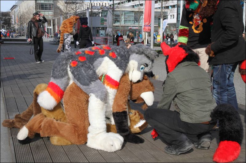 [Dresden_Furmeet_23032013_Fynnian (125).JPG]