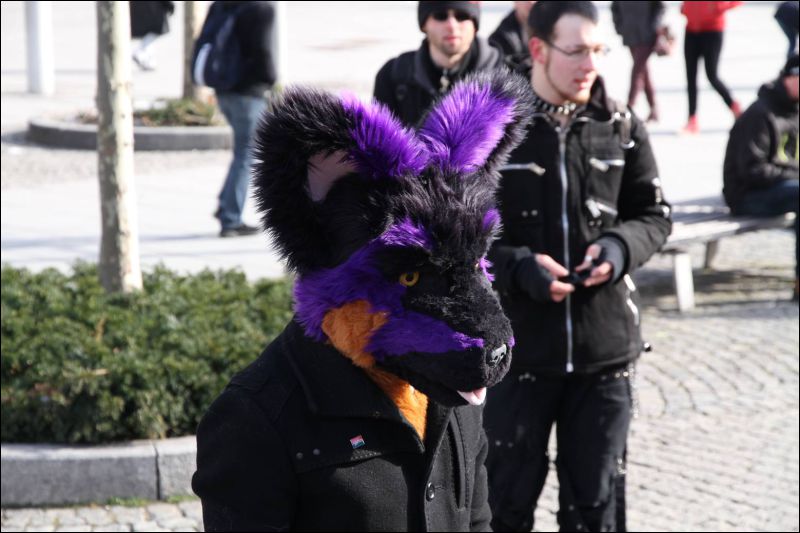 [Dresden_Furmeet_23032013_Fynnian (127).JPG]