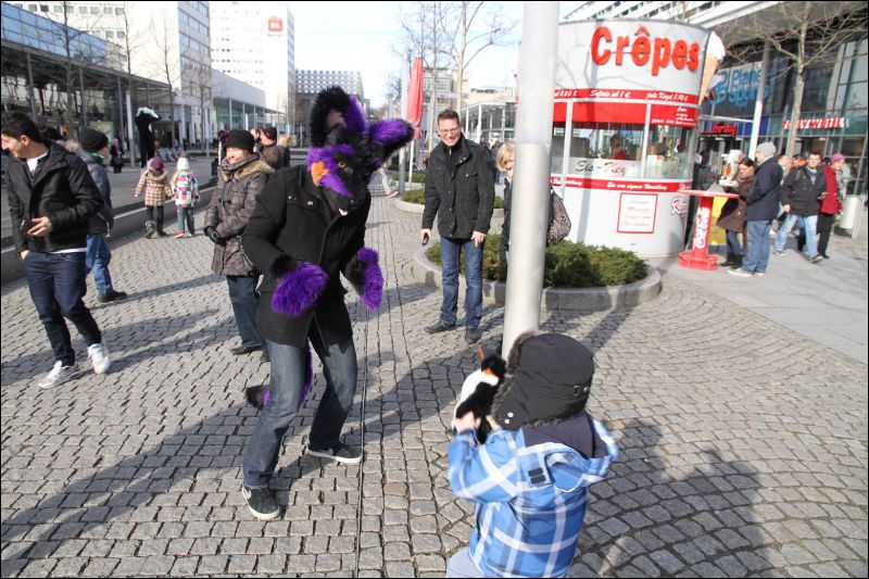 [Dresden_Furmeet_23032013_Fynnian (132).JPG]