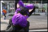 [Dresden Furmeet 23032013 Fynnian (134)]