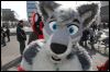 [Dresden Furmeet 23032013 Fynnian (136)]