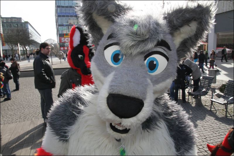 [Dresden_Furmeet_23032013_Fynnian (136).JPG]