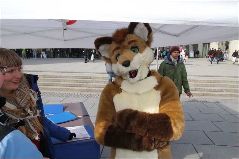 [Dresden_Furmeet_23032013_Fynnian (143).JPG]