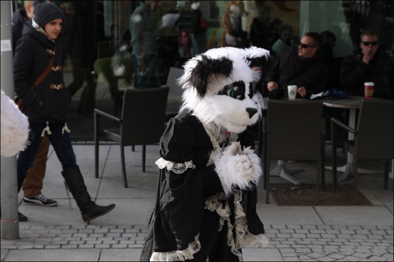 [Dresden_Furmeet_23032013_Fynnian (150).JPG]