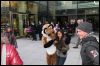 [Dresden Furmeet 23032013 Fynnian (152)]