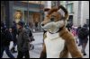 [Dresden Furmeet 23032013 Fynnian (155)]