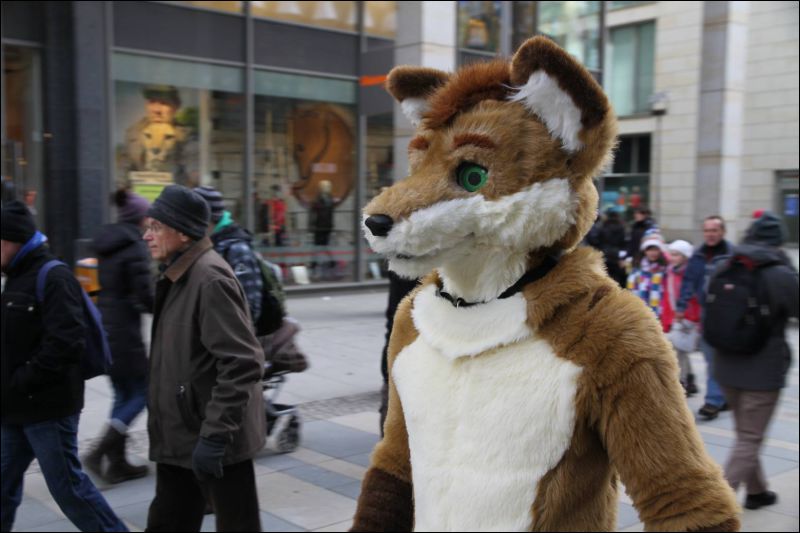 [Dresden_Furmeet_23032013_Fynnian (155).JPG]