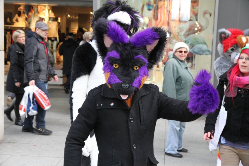 [Dresden_Furmeet_23032013_Fynnian (158).JPG]