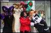 [Dresden Furmeet 23032013 Fynnian (162)]