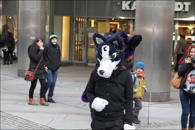 [Dresden_Furmeet_23032013_Fynnian (167).JPG]