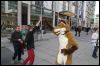 [Dresden Furmeet 23032013 Fynnian (168)]