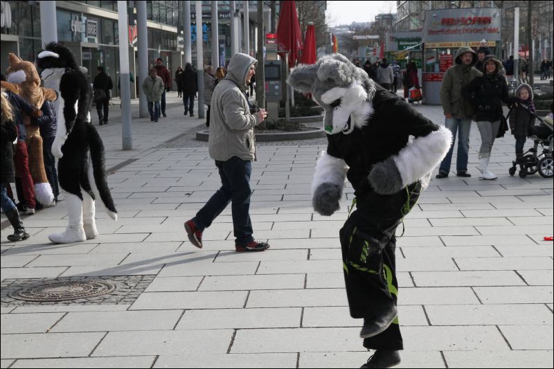 [Dresden_Furmeet_23032013_Fynnian (174).JPG]