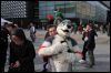 [Dresden Furmeet 23032013 Fynnian (179)]